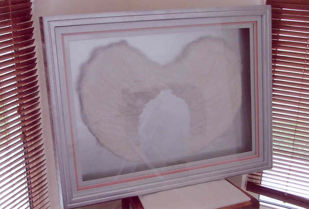 Miscellaneous - Picture Frame